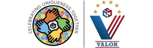 0920 Valor - Veterans ERG Logo TRANSPARENT