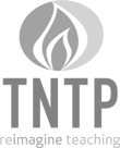 TNTP - customer grayscale logo